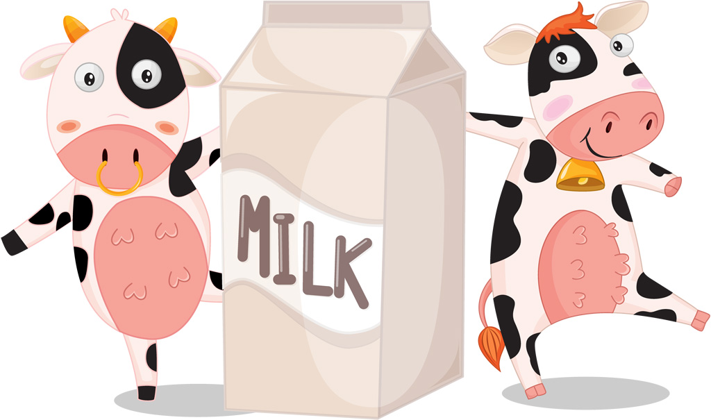 乳酸菌